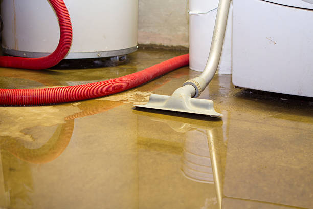 Best Water damage restoration near me  in South Sioux City, NE