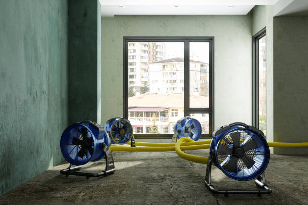 Best Flood restoration services  in South Sioux City, NE