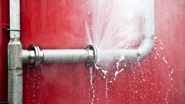 Best 24/7 water damage repair  in South Sioux City, NE