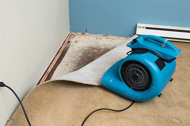 Best 24-hour water damage restoration  in South Sioux City, NE